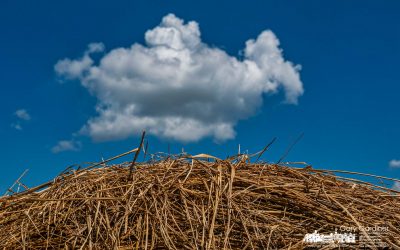 Late Hay Harvest Clouds