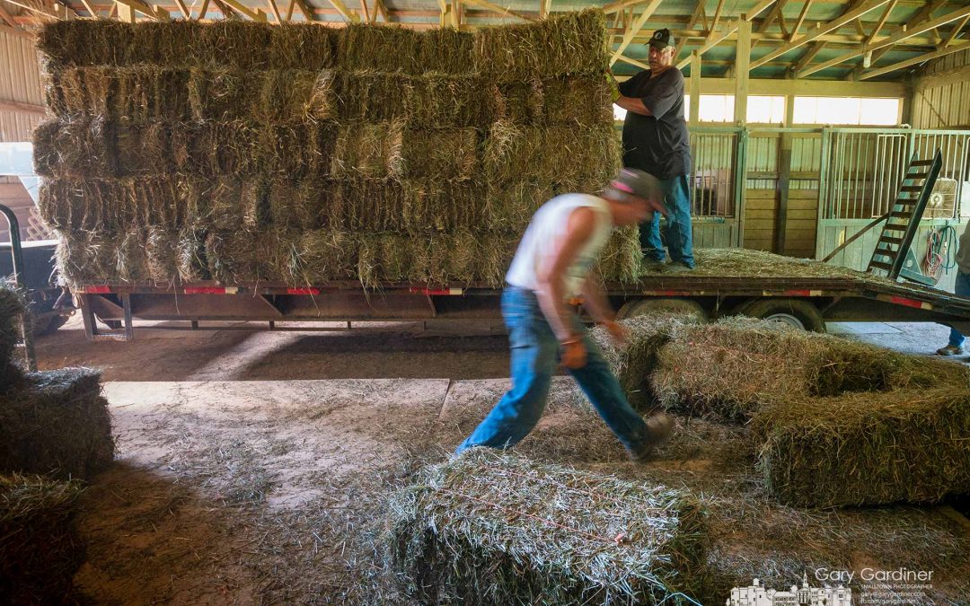 Another Load Of Hay