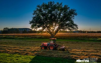 Raking At The End Of The Day