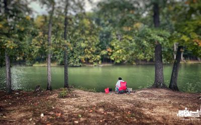 Alone On the Bank