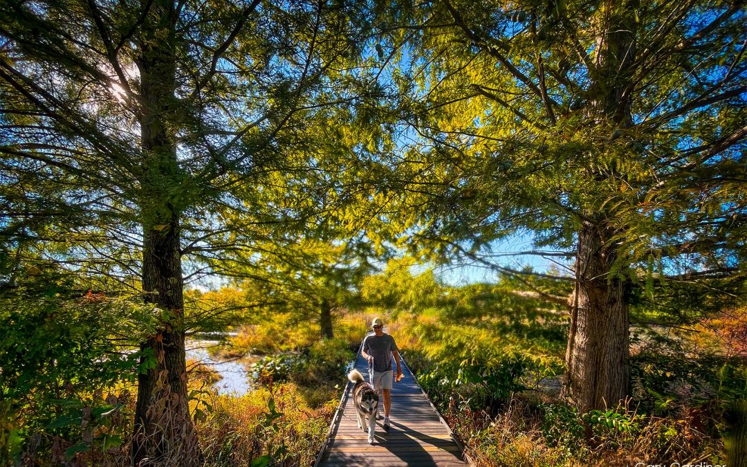 Wetlands Walk
