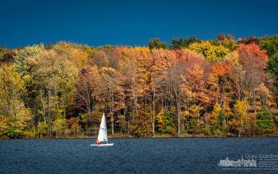 Sailing Through Fall In Ohio