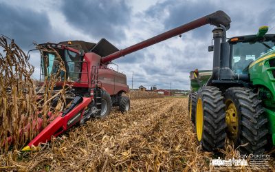 Corn Fields Cleared