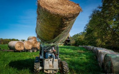 Hay Headed For Storage