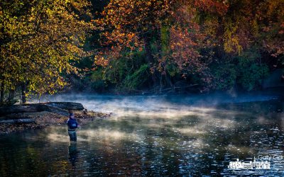 In The Morning Mist