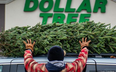 First Day Tree Sales