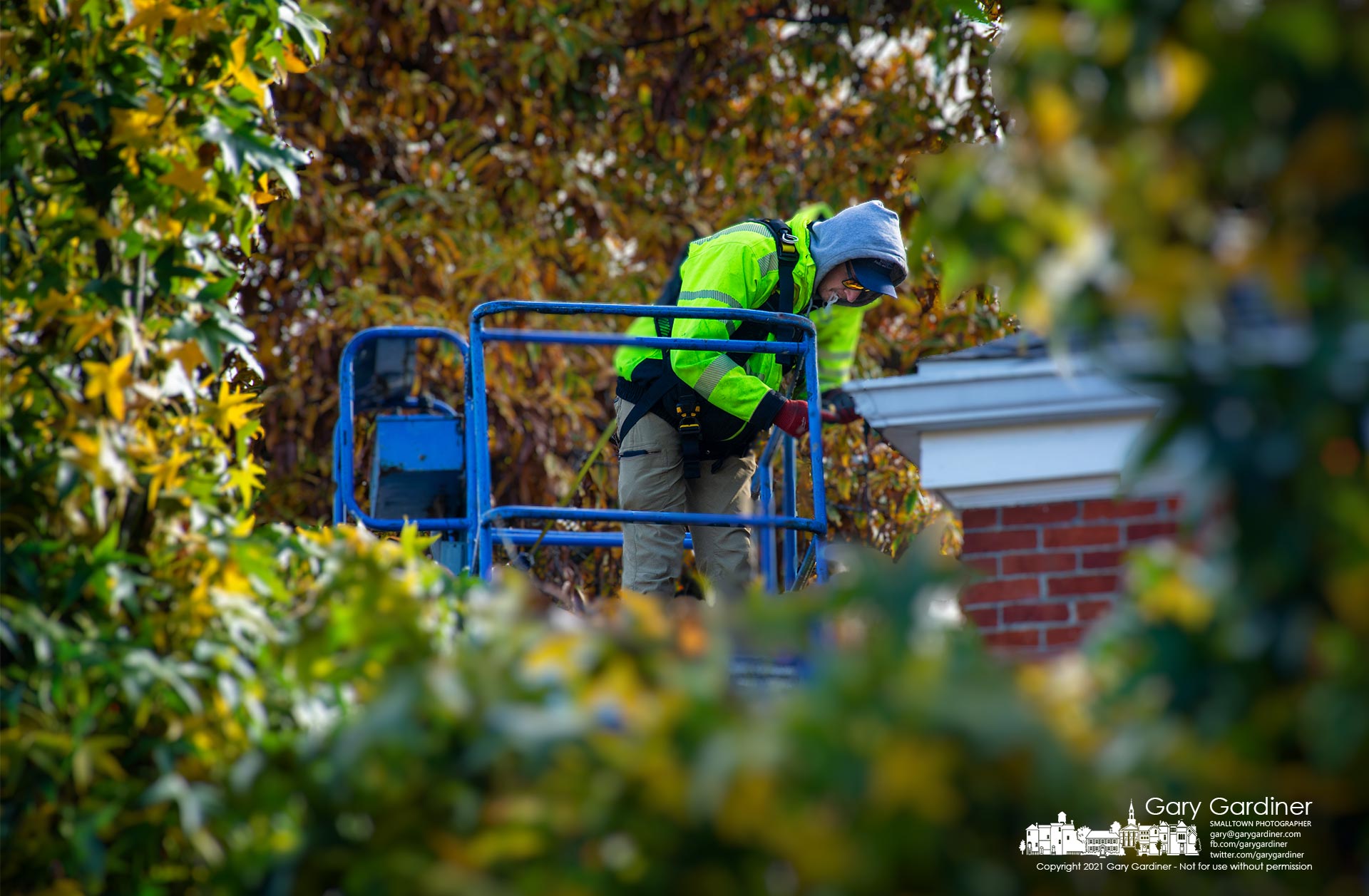 A Westerville Parks worker installs strings of led lights in the eaves of City Hall preparing the building and its landscape for the holiday tree lighting in December. My Final Photo for Nov. 12, 2021.