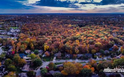 Inniswood Fall Afternoon
