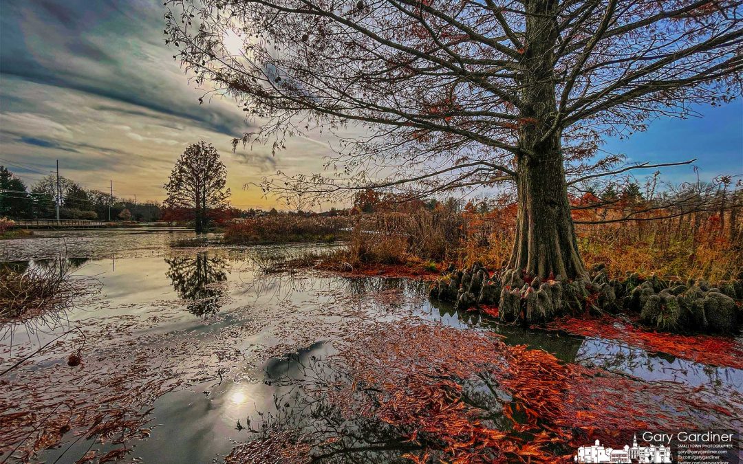 Wetlands Fall Wonders