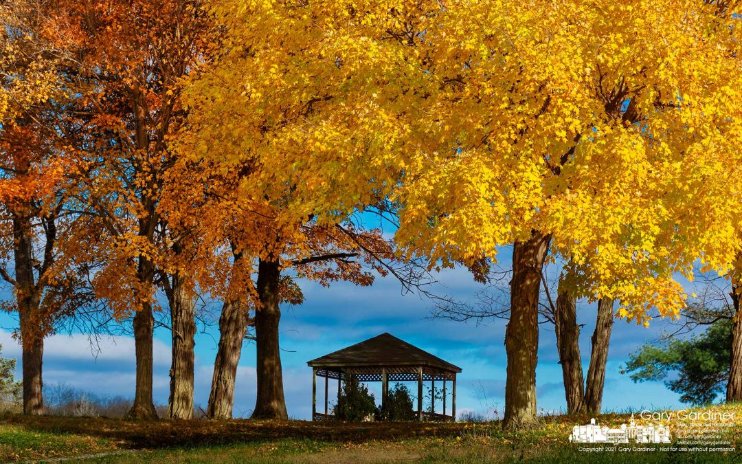 In Fall’s Shade