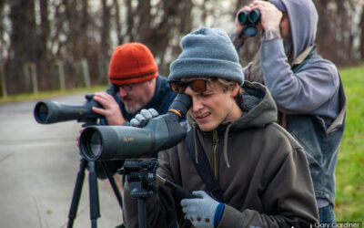 Flock Of Birders