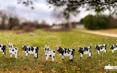 Another Cow Christmas