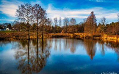 Clear Skies, Still Waters