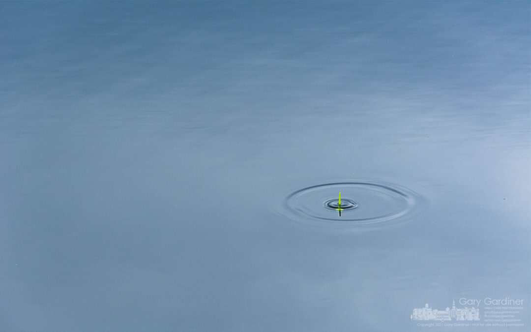 Floater’s Signal