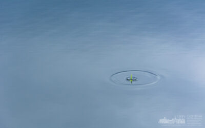 Floater’s Signal