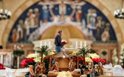 Arranging Christmas