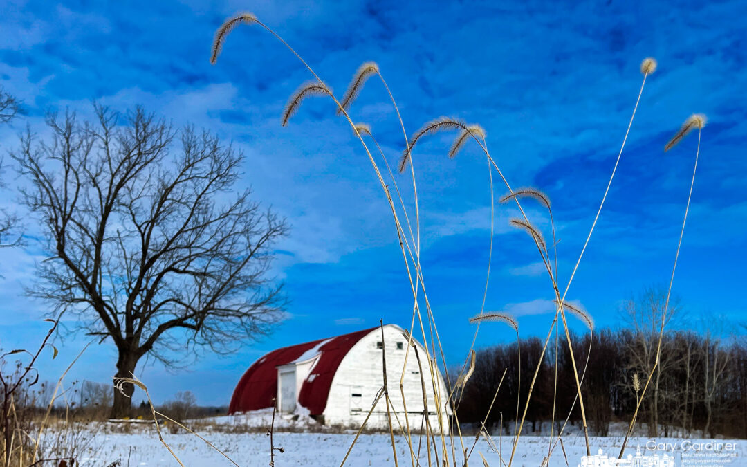 Winter In The Wind