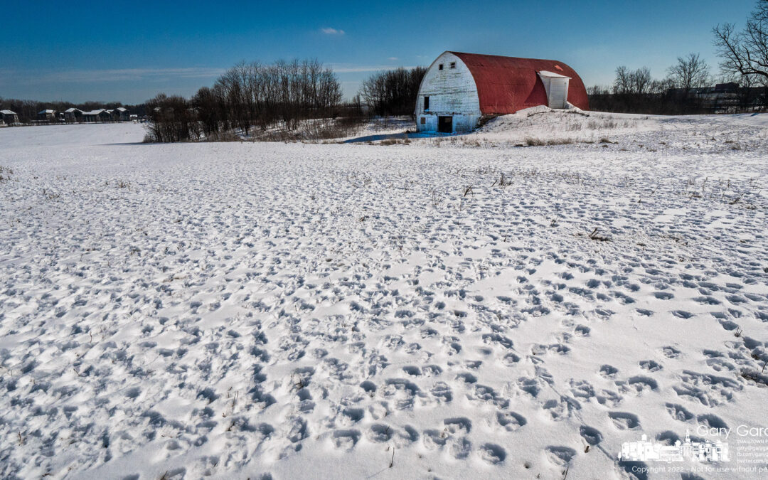 Leaving Tracks
