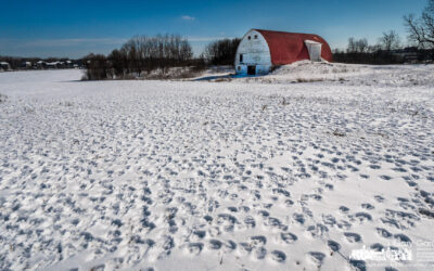 Leaving Tracks