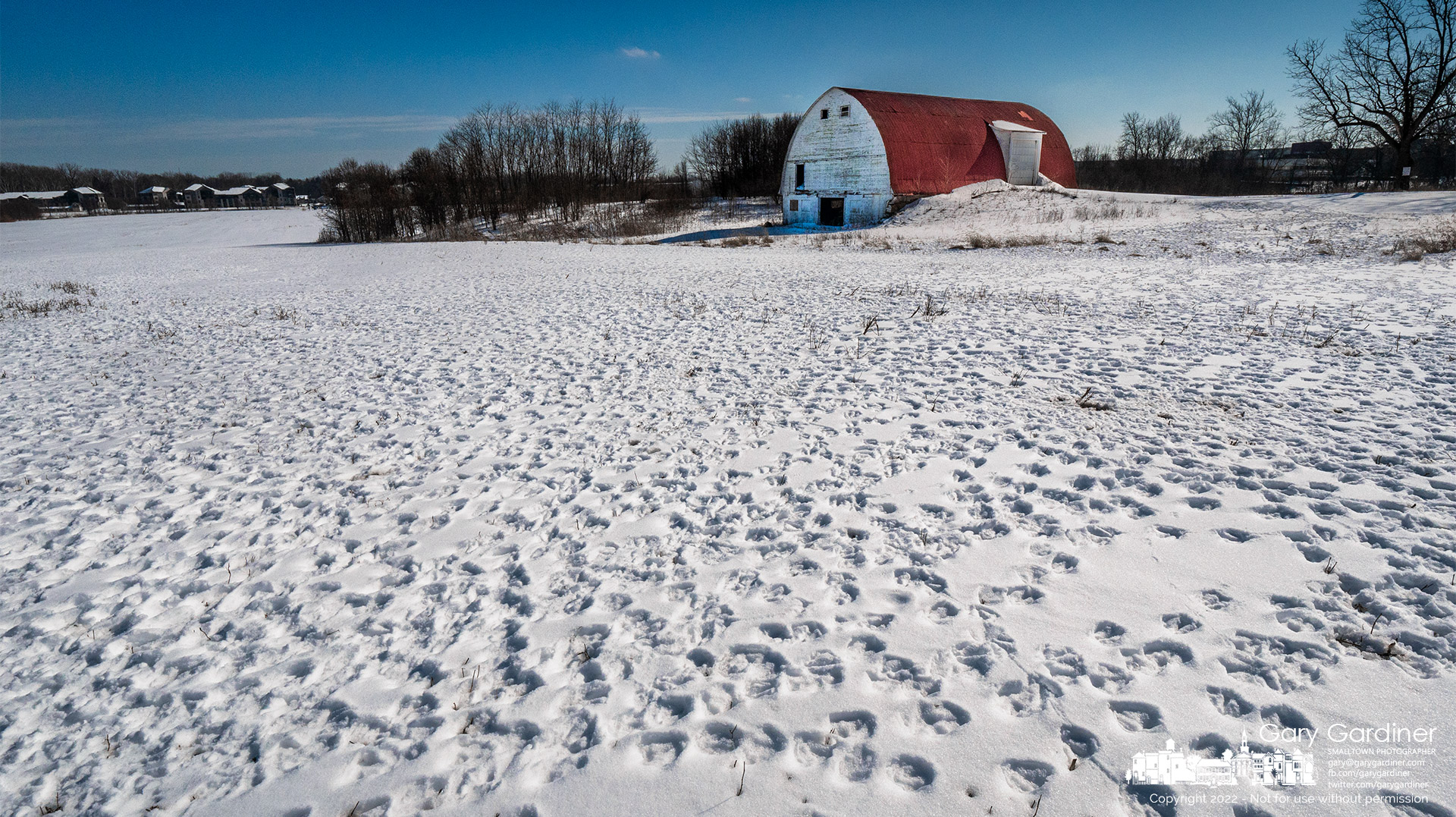 A large collection of deer tracks in the snow mark a section of the Braun Farm fields where their winter activity appears to be the most active. My Final Photo for Feb. 7, 2022.