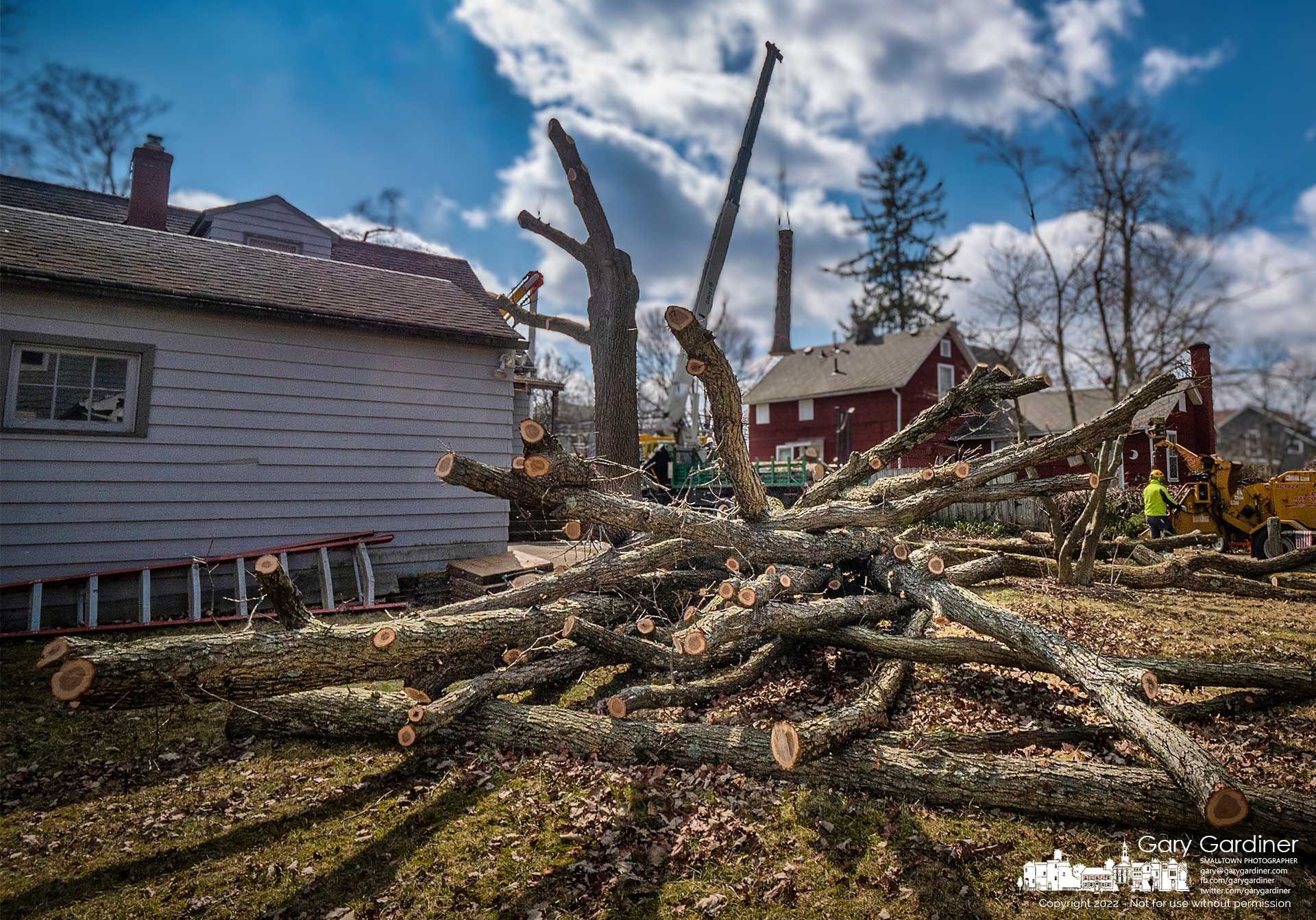 A tangle of limbs from a large oak tree is temporarily stacked in the backyard of a house at the corner of East College and Whitehead Street after it and two other trees were removed for planned upgrades on East Home and its connecting streets. My Final Photo for March 9, 2022.