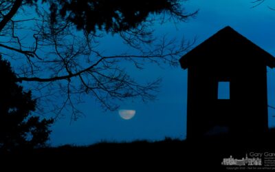 Farm Moonrise