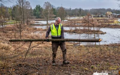 MADly Clearing Invasives At Highlands