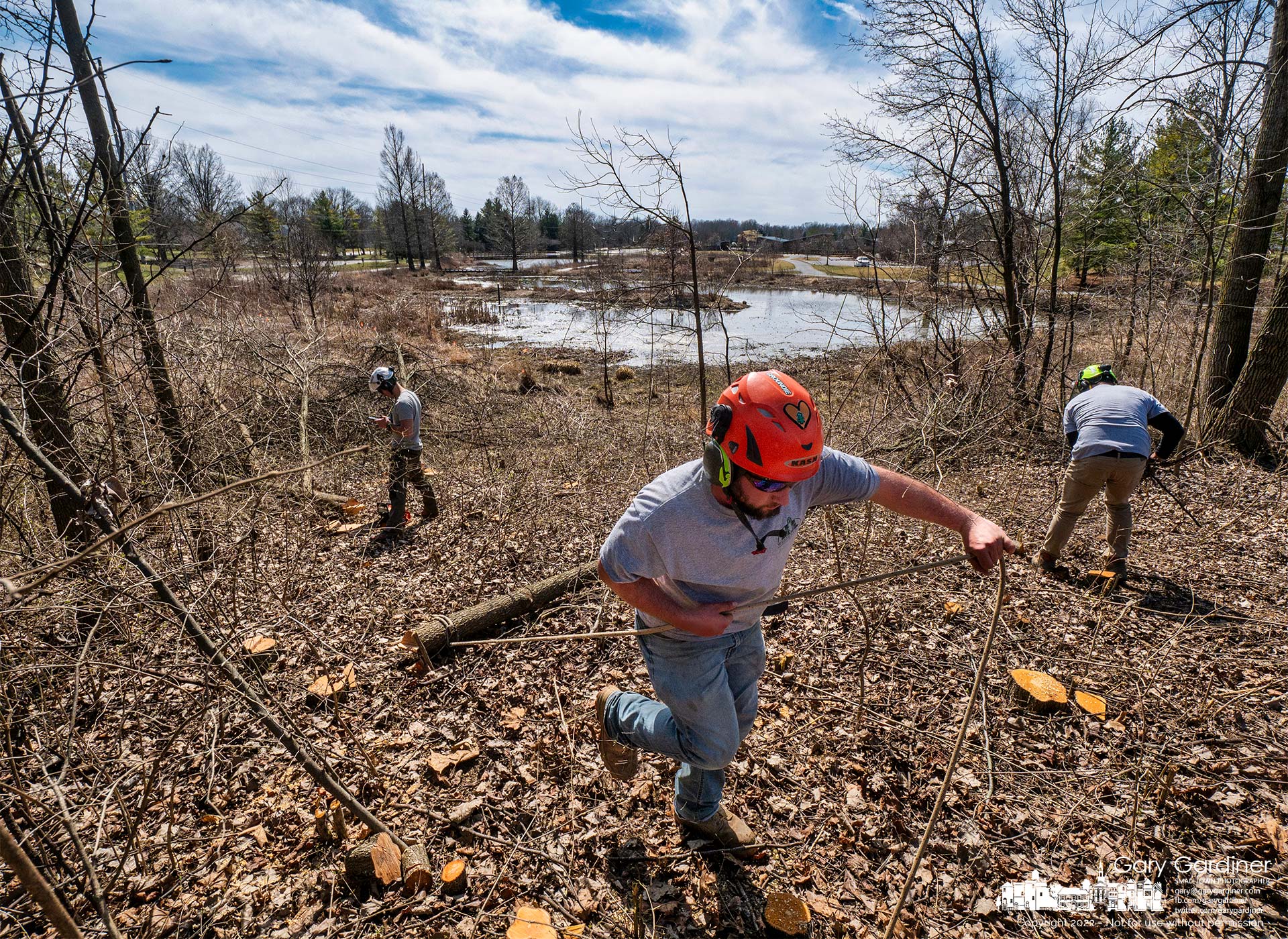 A city parks and recreation crew clears Bradford pears and honeysuckle from the northern slope of the wetlands at Highlands Aquatic Park. My Final Photo for March 16, 2022.