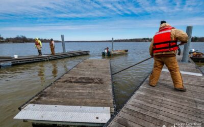 Floating The Docks