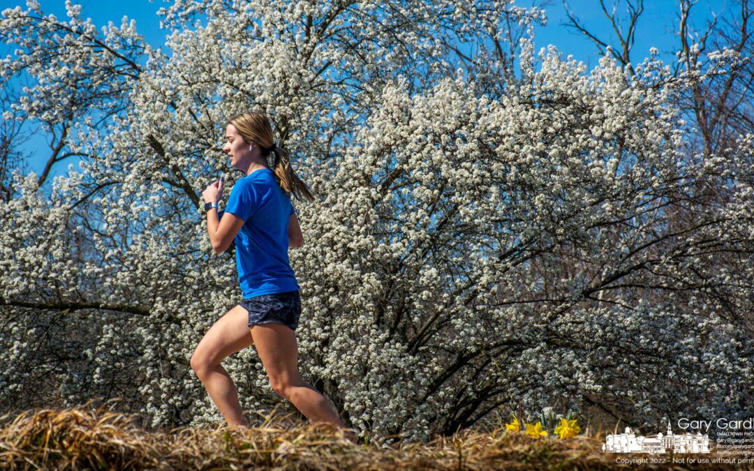 Spring Run