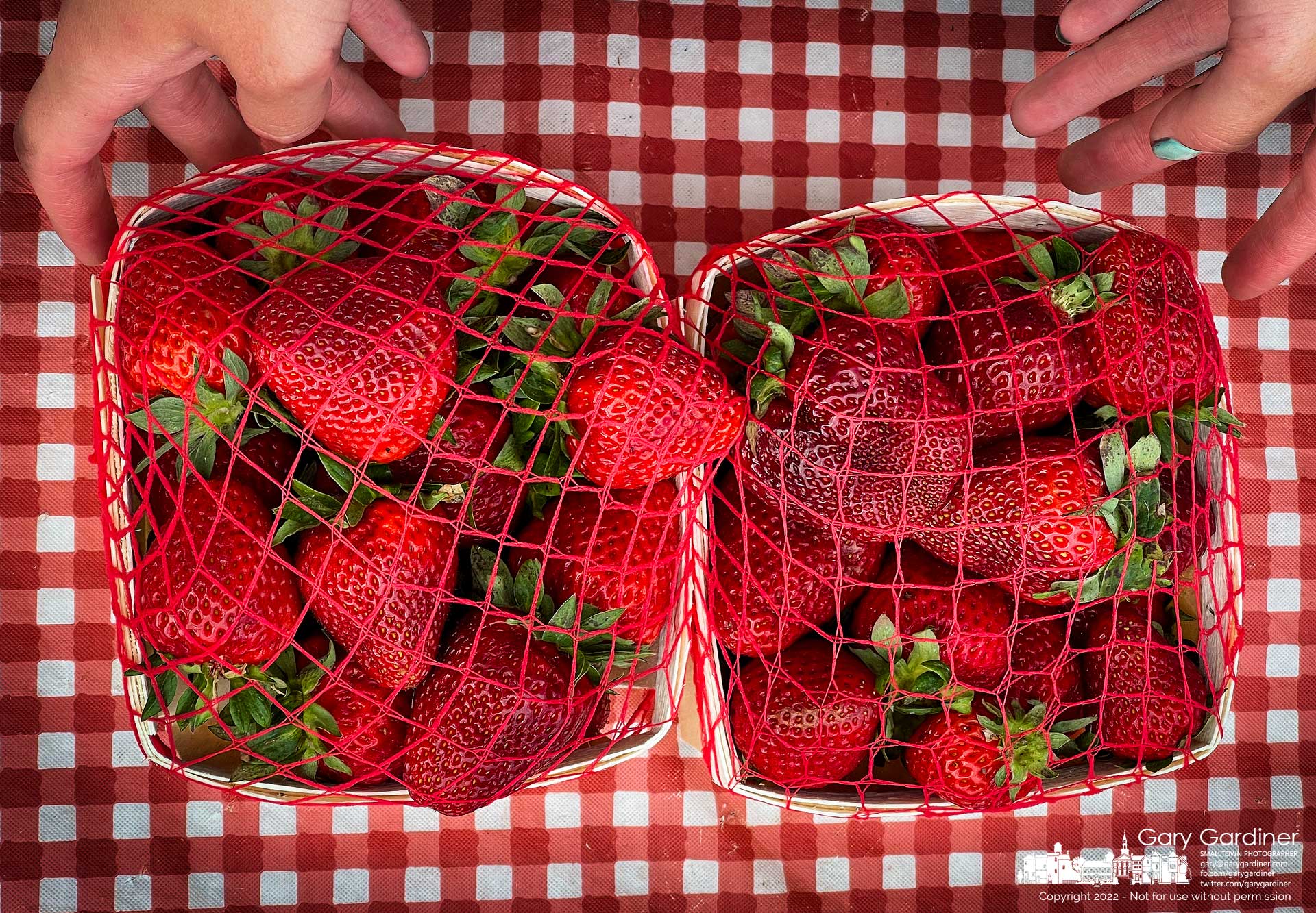A vendor wraps two containers of strawberries with an elastic mesh to keep them from falling out of their containers as a customer at the Uptown Saturday Farmer's Market opened its season Saturday morning. My Final Photo for May 21, 2022.