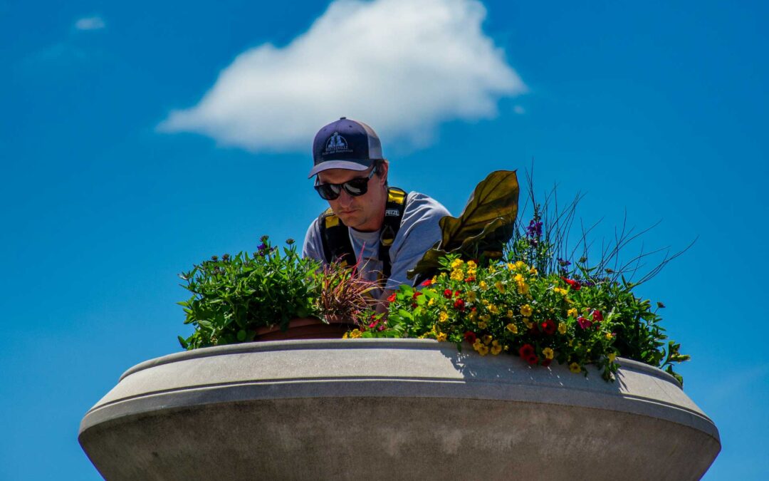 Spring Planting