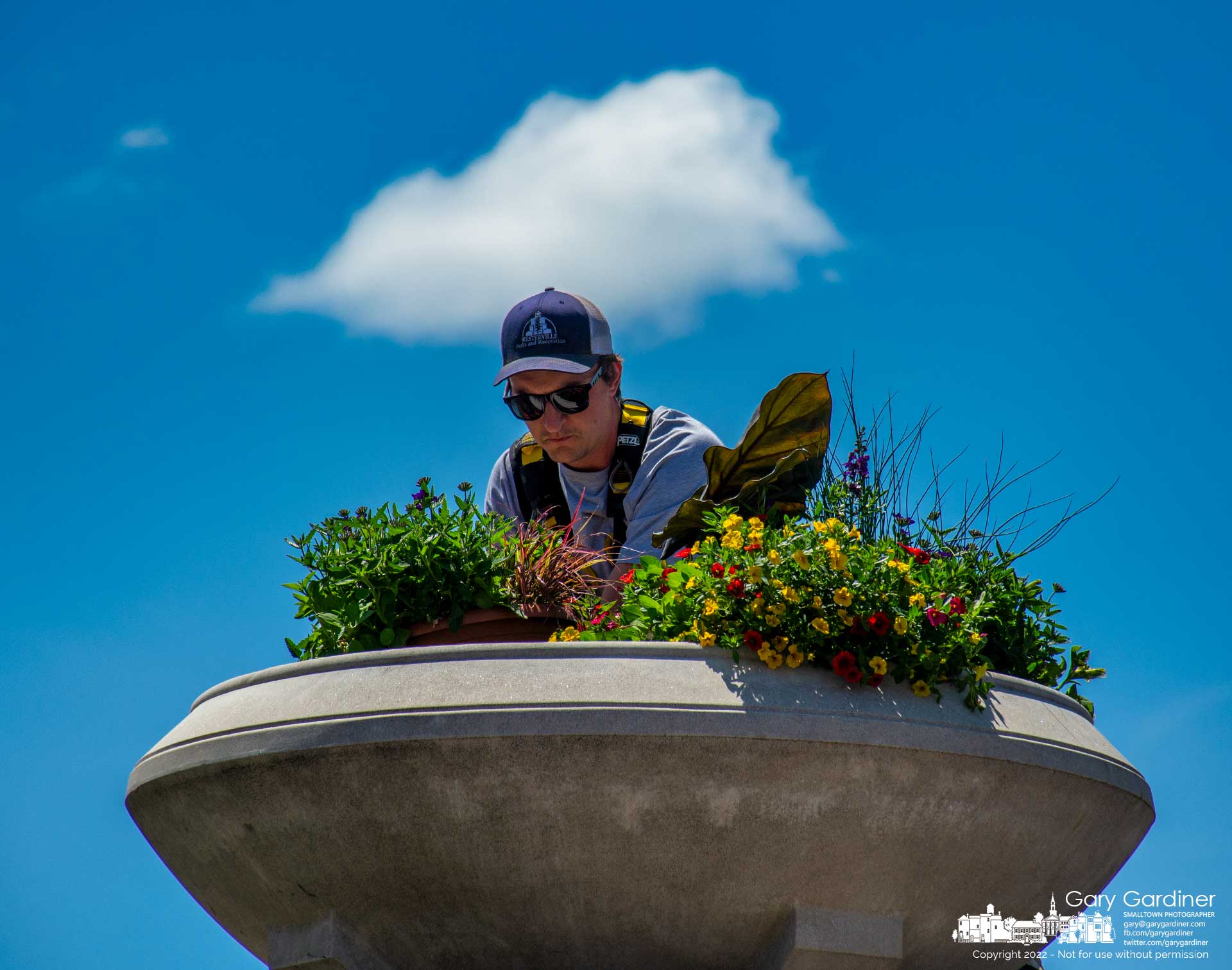 A Westerville Parks worker places a selection of flowers and Spring greenery into one of the large planters at the top of the entrance post to the parking lot behind city hall. My Final Photo for May 13, 2022.