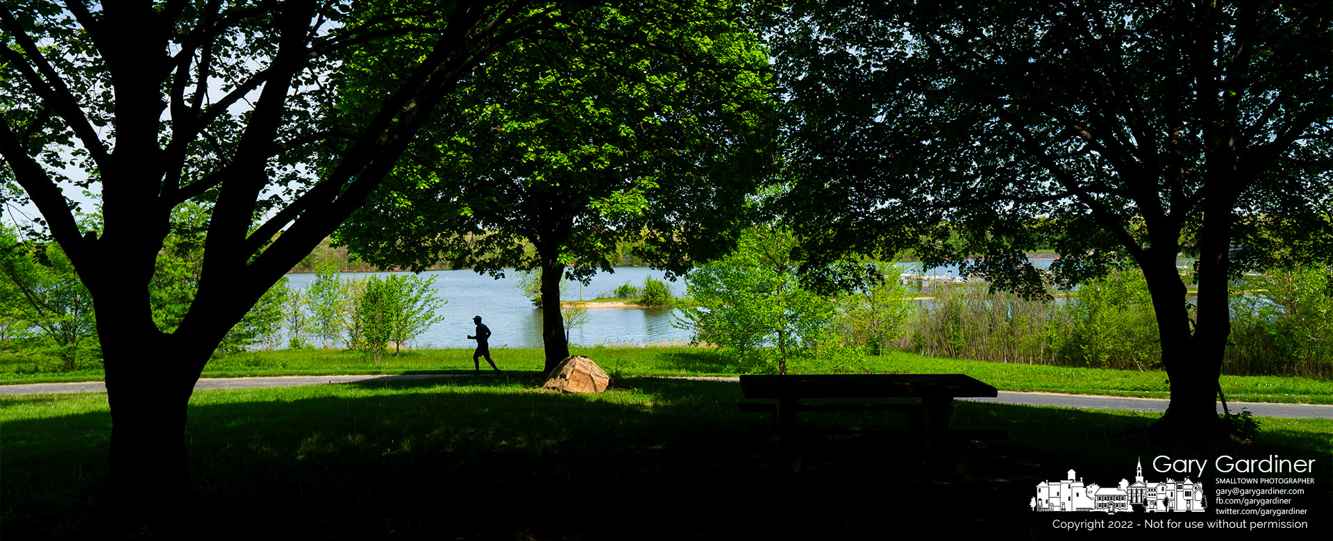 A runner passes under the shade of a tree on a section of the bike path that runs along the shoreline at Hoover Reservoir. My Final Photo for May 11, 2022.