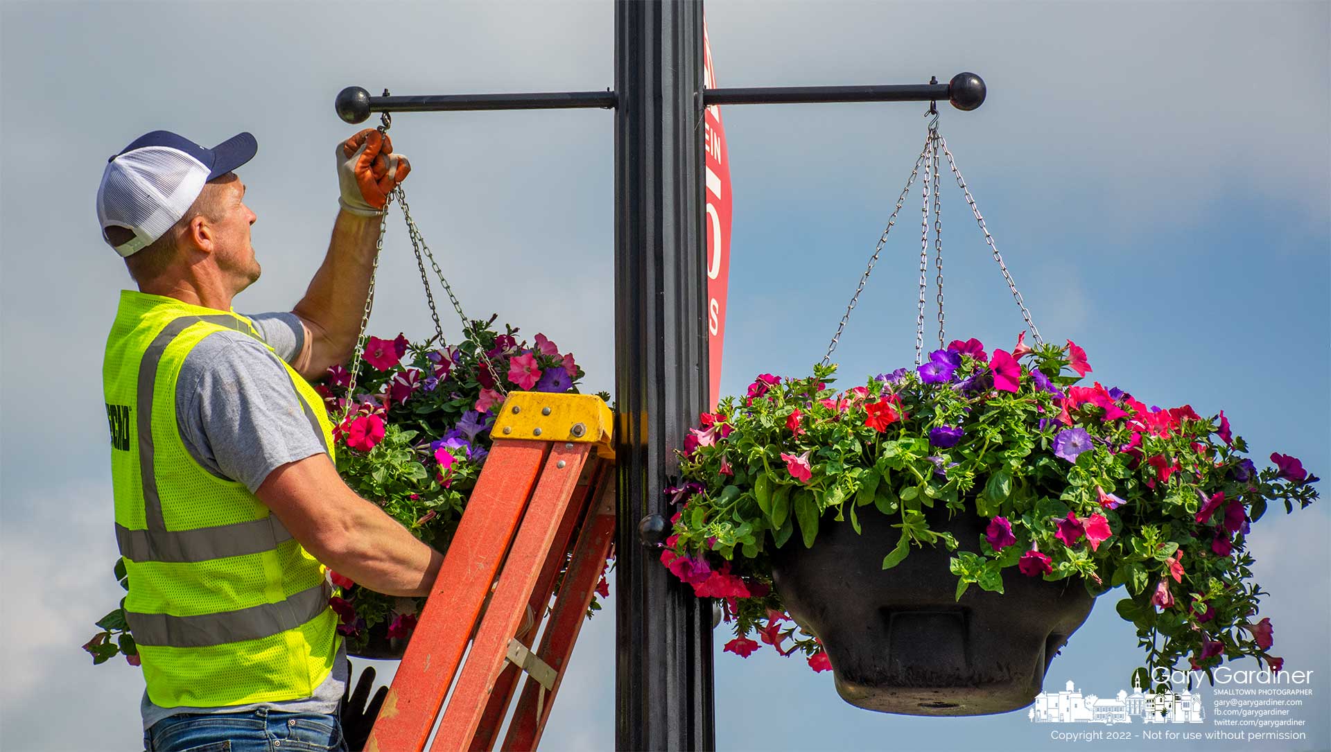 A Westerville Parks worker hangs a basket of petunias on a streetlight pole at the Main Street bridge as the city completes one of its Springtime chores. My Final Photo for May 19, 2022.