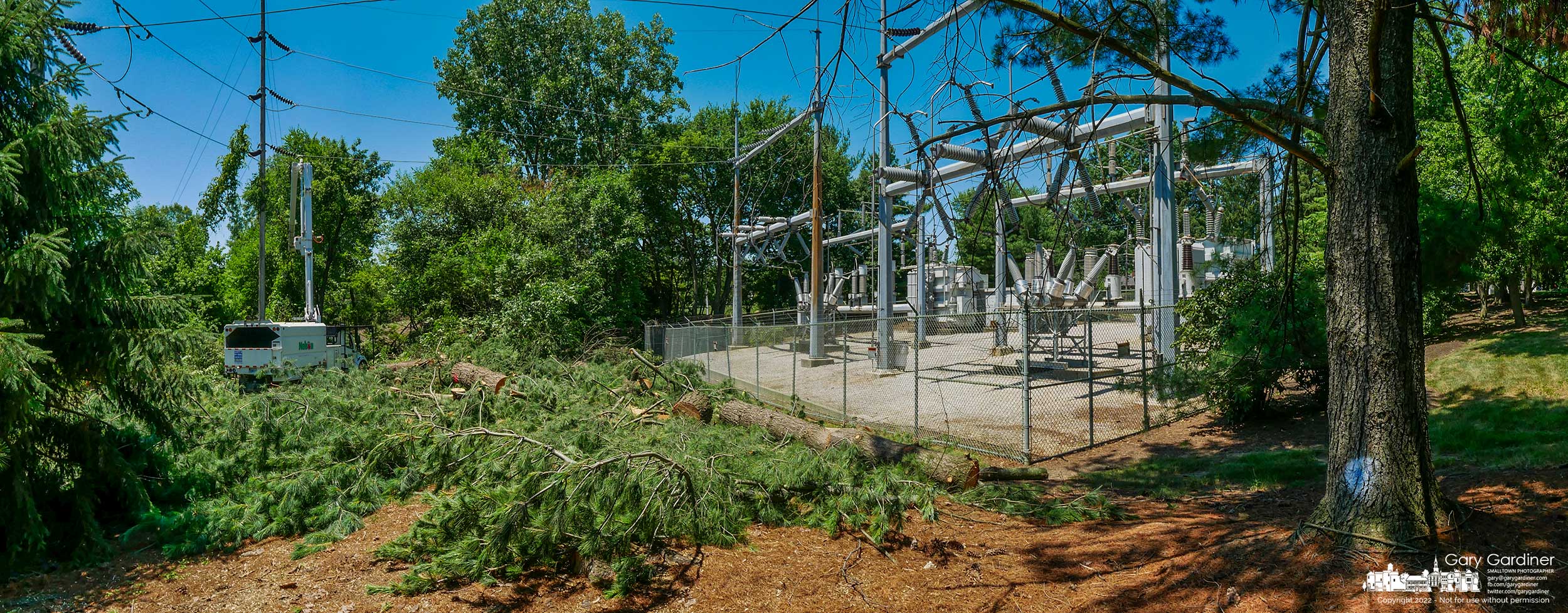 A pine tree near the AEP substation at Spring and Walnut is marked with paint signifying it is to remain in place not like the other pines closer to the power lines that feed the station and were cut down. My Final Photo for June 29, 2022.
