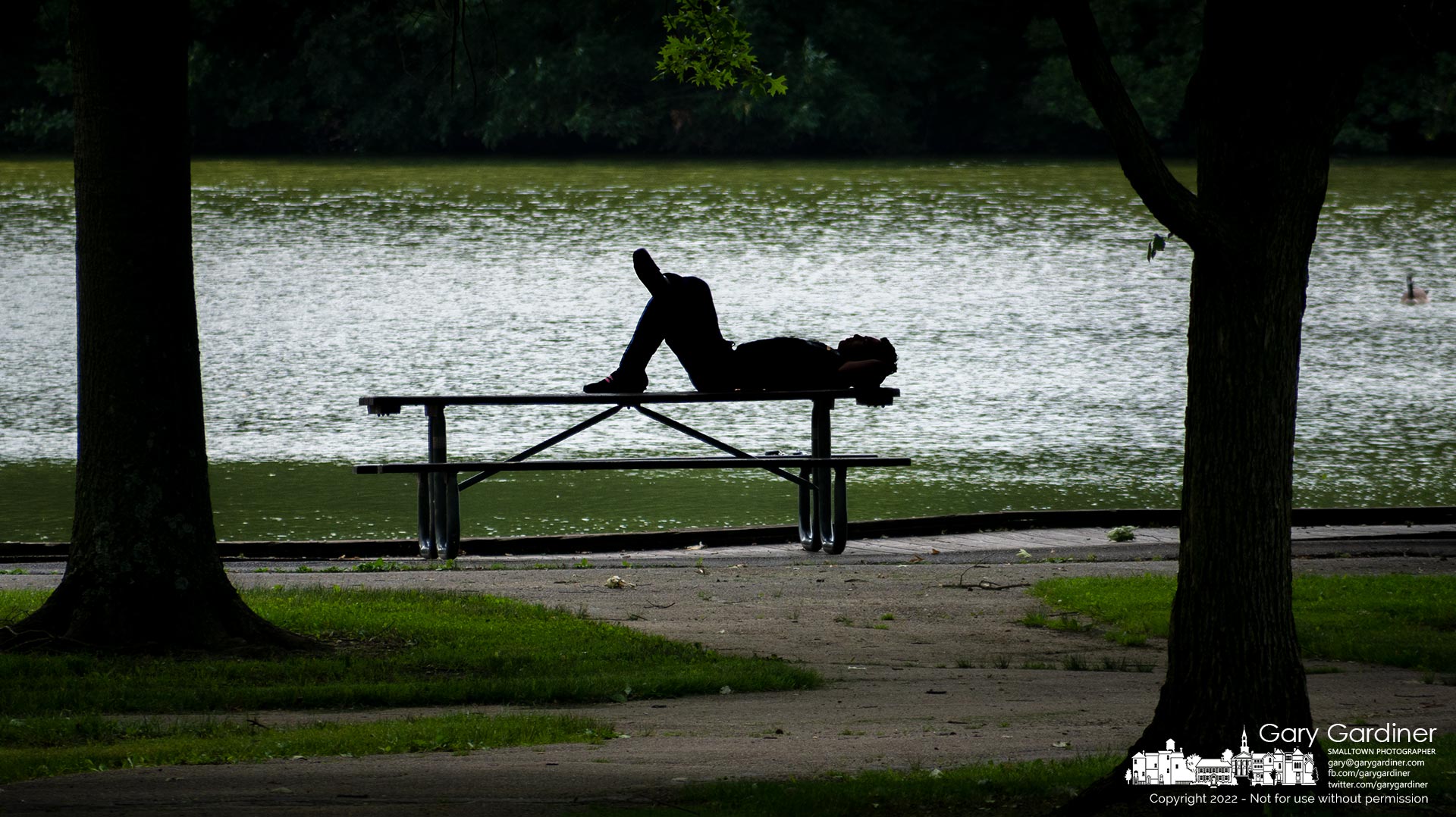 A man lies on a picnic table for a few minutes of rest on a warm day at the dock on Schrock Lake at Sharon Woods Metro Park. My Final Photo for June 16, 2022.