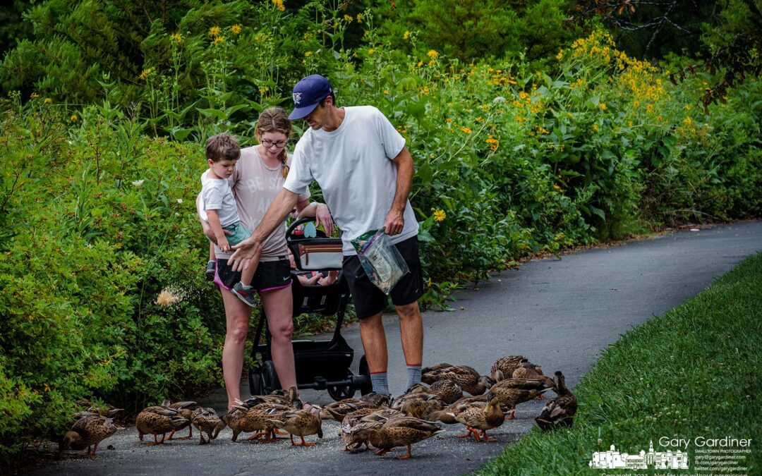 Ducks Dining Out