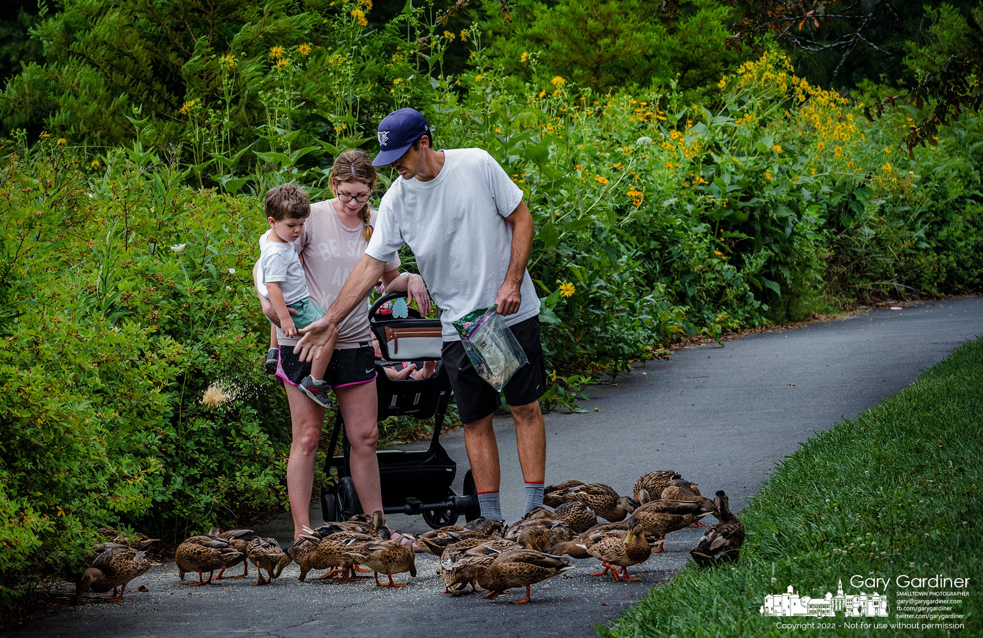 A family stops their walk along the path at the wetlands at Highlands to feed cracked corn to the ducks. My Final Photo for July 24, 2022.