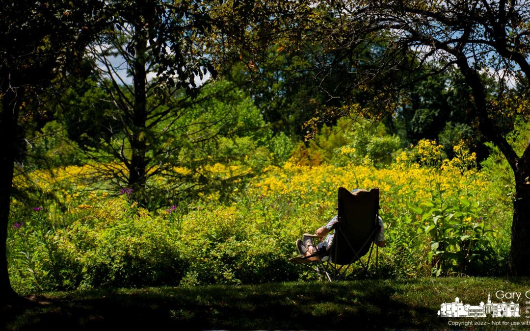 Wetlands Recovery.