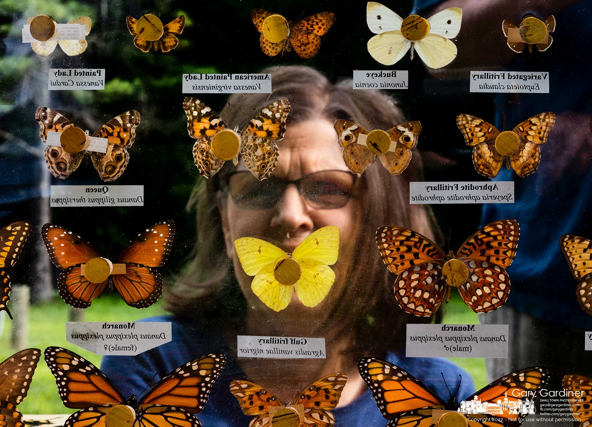 A woman studies a collection of butterflies shown to a crowd gathered at Hoover Meadows Park for a nature walk through open prairie and woods to observe living specimens of butterflies and moths. My Final Photo for August 13, 2022.