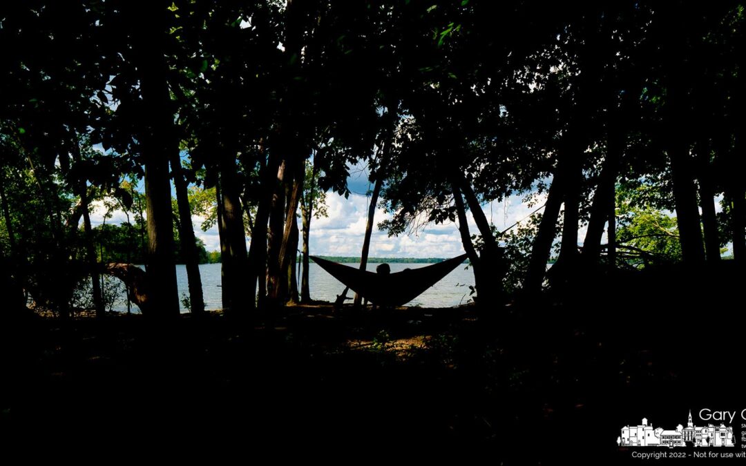 Cool In The Afternoon Shade