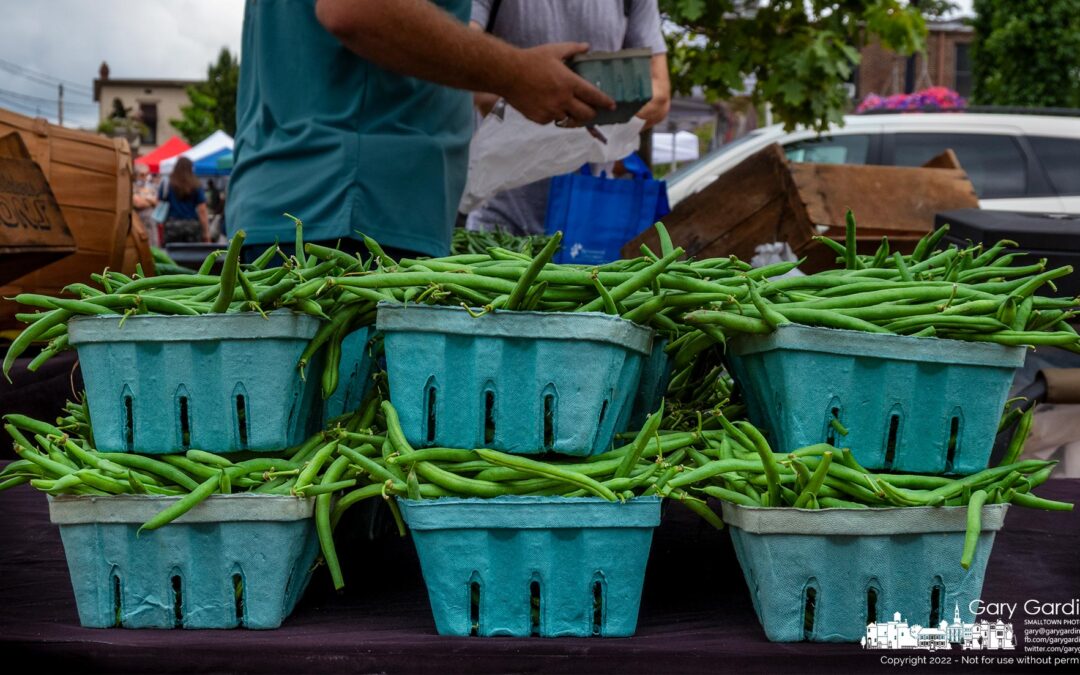 The Green Beanery
