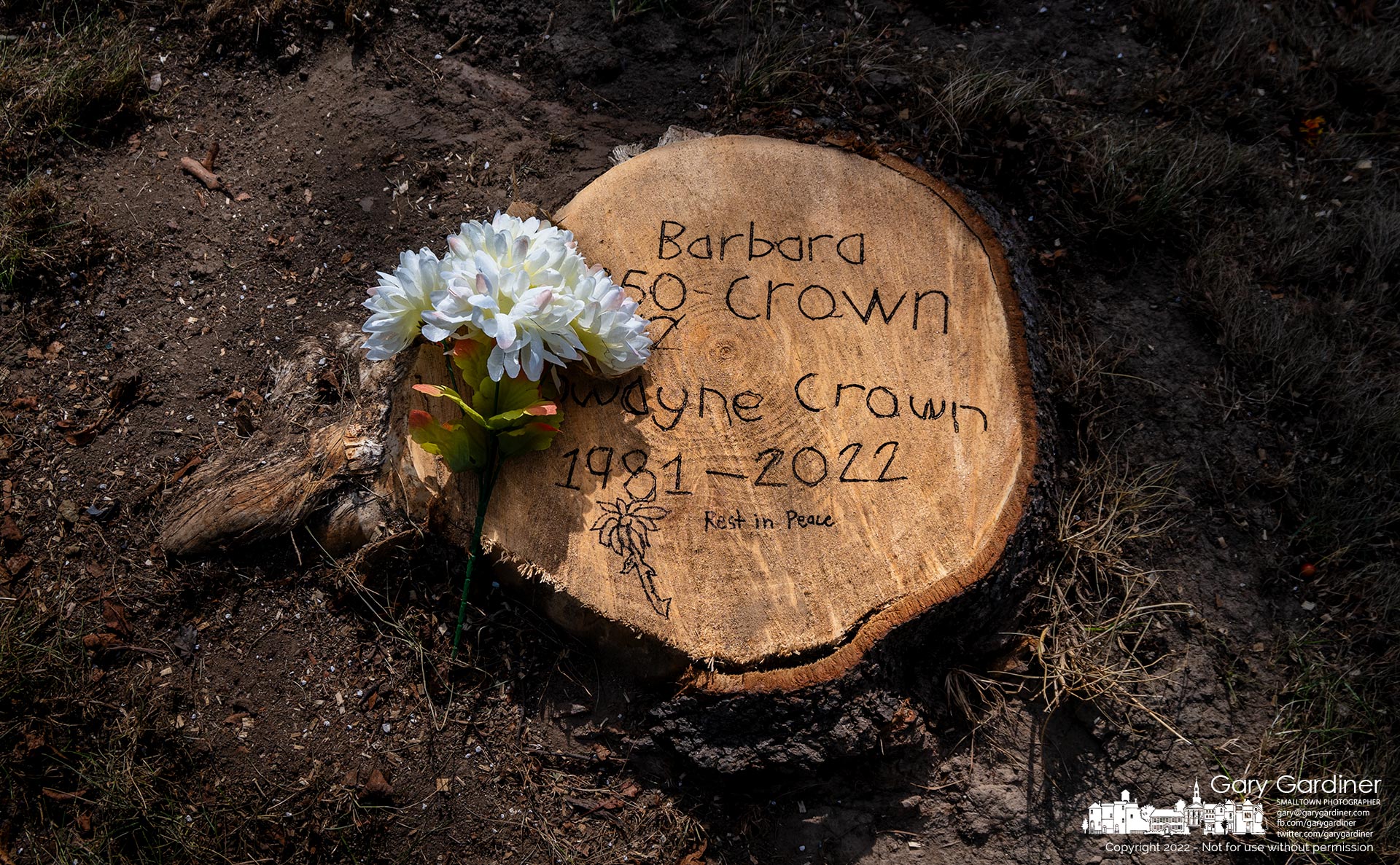 A small bouquet of flowers sits on the stump of a tree with a hand-carved memorial etched into it for a mother and son who died when their car hit the tree on Liberty Lane. My Final Photo for Sept. 2, 2022.
