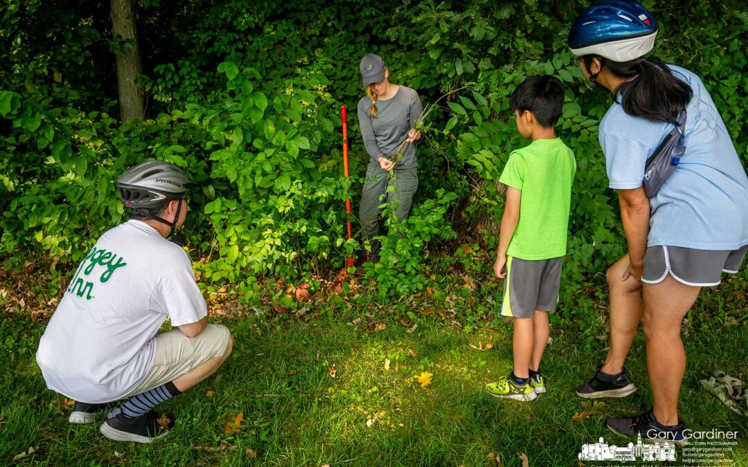Invasive Instruction