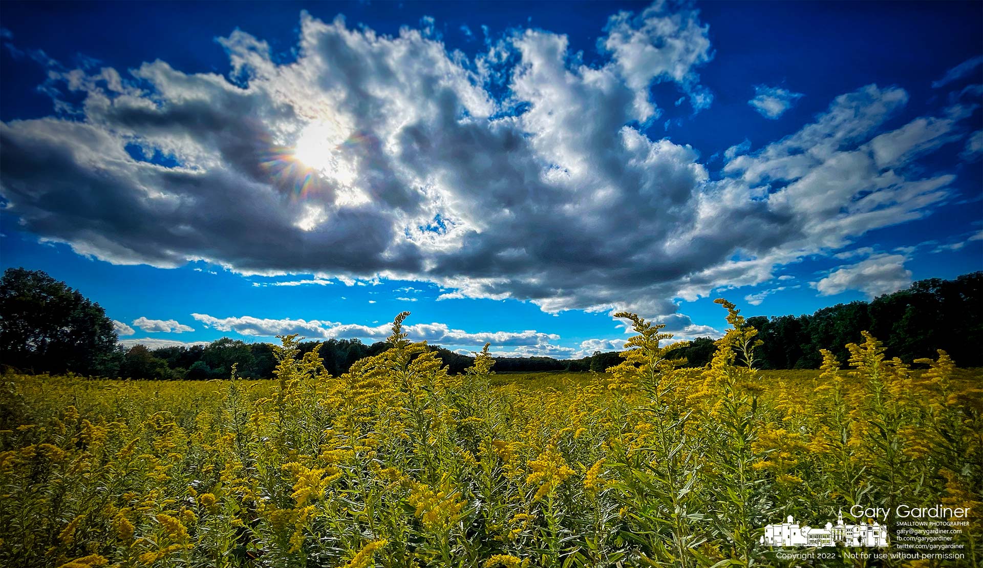 The sun peeks between a break in clouds moving over the meadow at Sharon Woods Metro Park where goldenrod is the predominant flower on the first day of fall. My Final Photo for September 22, 2022.