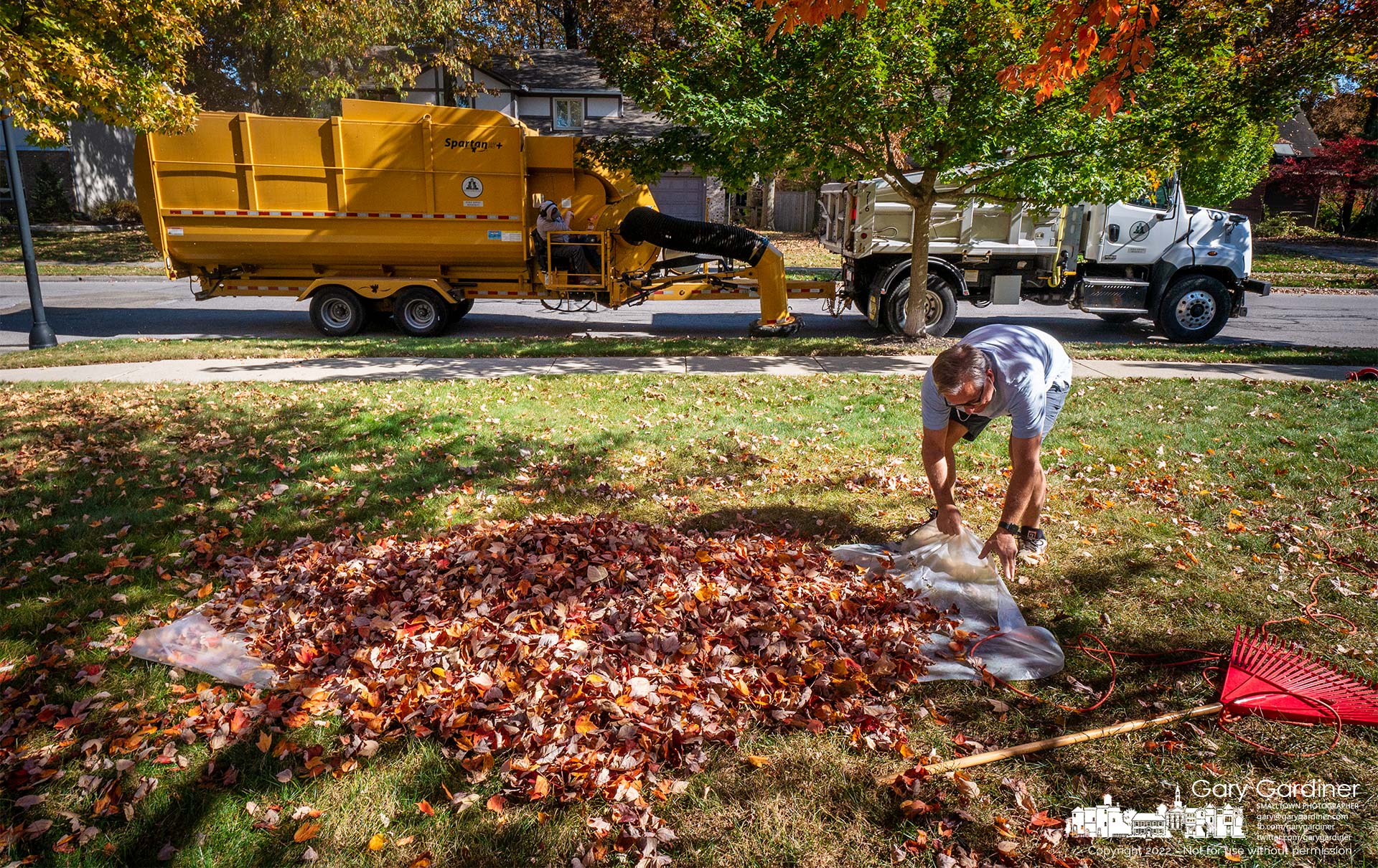 A man struggles to load a tarpaulin with leaves he quickly raked in his front yard to get them to the curb before the city's leaf vacuum truck passes his house. My Final Photo for October 24, 2022.
