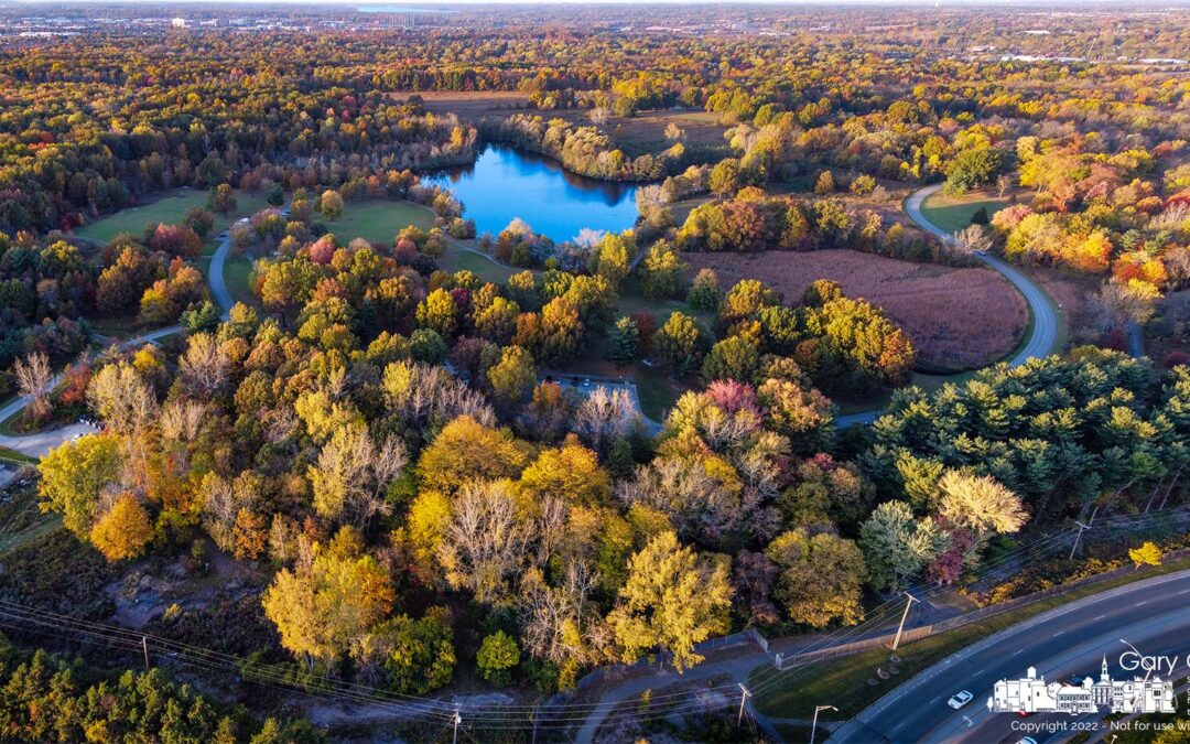 Sharon Woods Fall