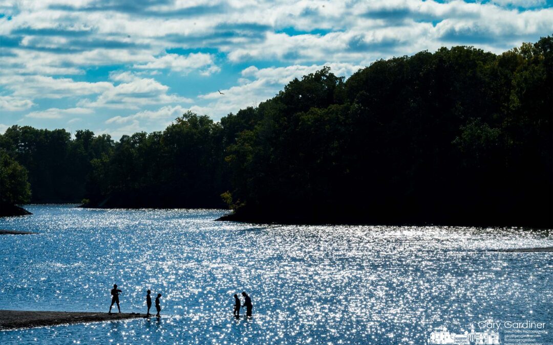 From The Shallows