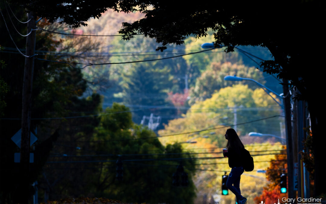 Student Crossing